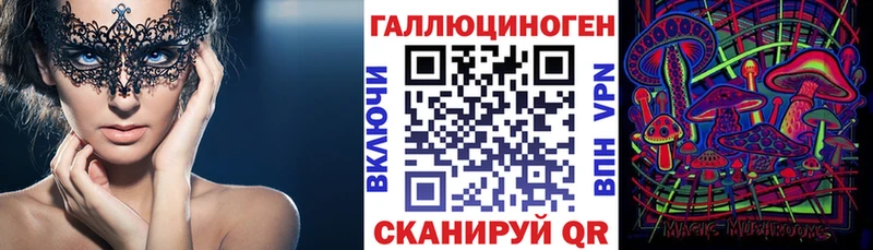 купить  цена  Топки  Галлюциногенные грибы Psilocybine cubensis 