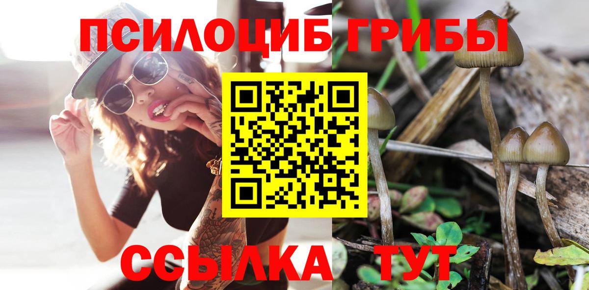 Галлюциногенные грибы GOLDEN TEACHER  Вход с VPN  Топки  Псилоцибиновые грибы мухоморы 